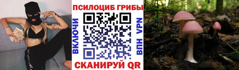 Галлюциногенные грибы ЛСД  нарко площадка телеграм  Астрахань 
